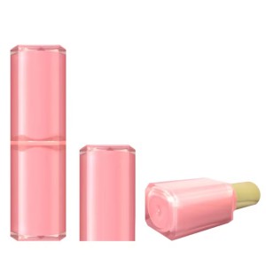 Luxury Empty Plastic Lipstick Tube