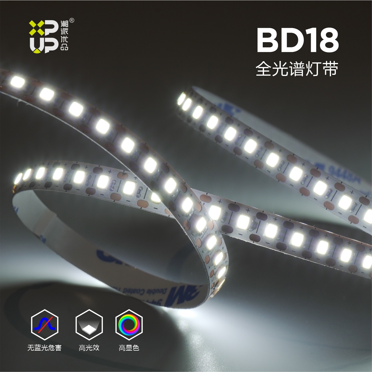 Full Spectrum Lighting XPUP-BD18