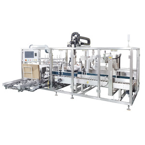 Automatic Top Load Case Packer