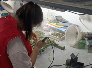 Seed wax