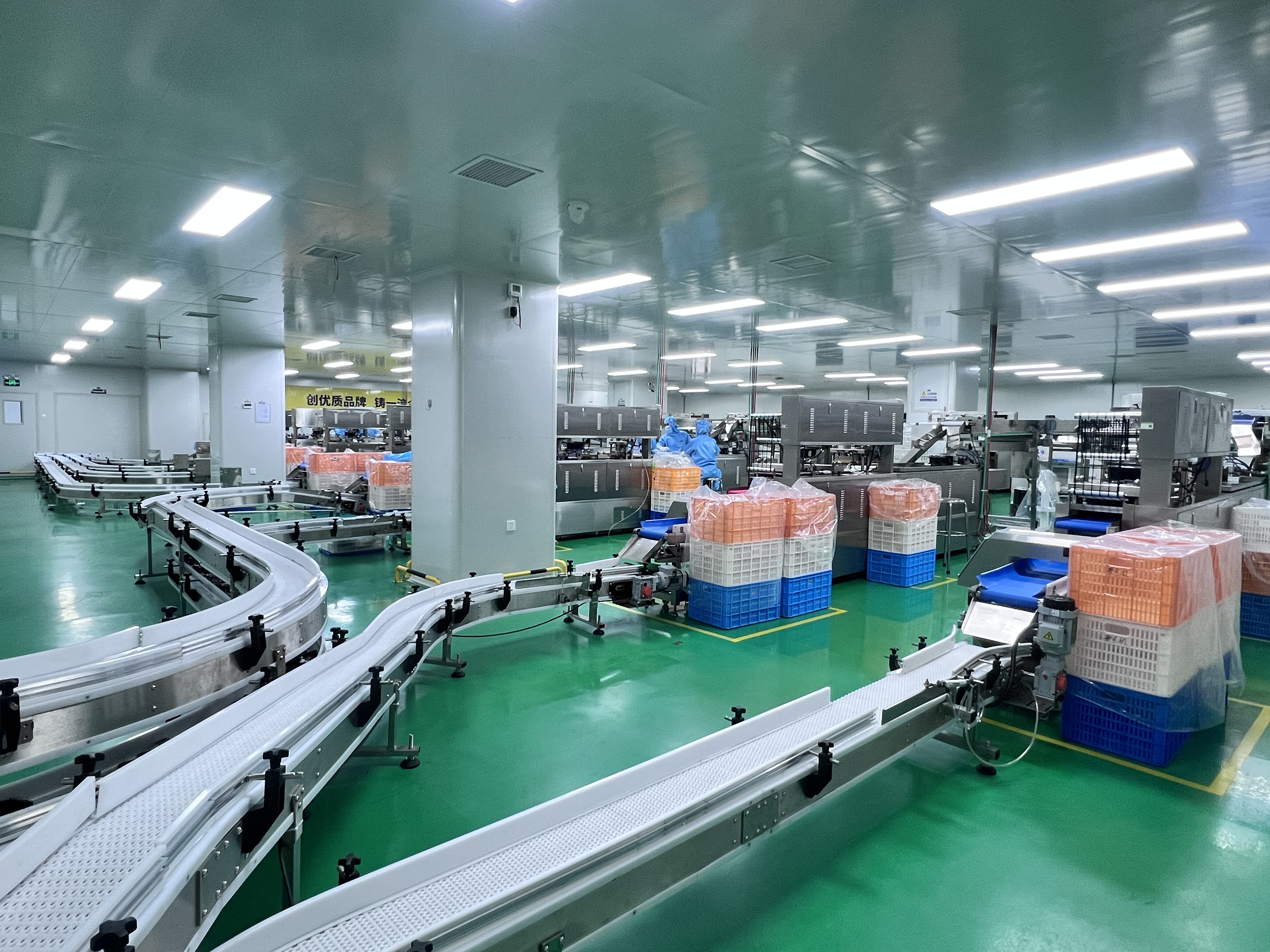 Coated Product Transfer to Blister Packaging Area