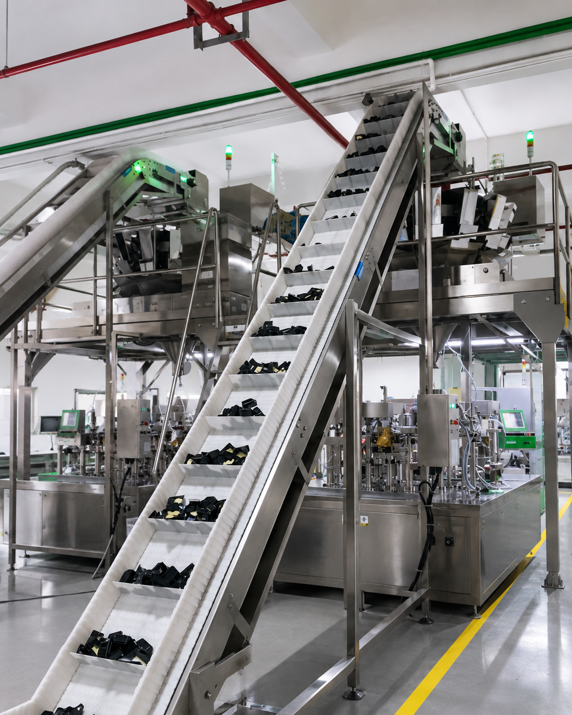 secondary-packaging-workshop-automated-conveyor
