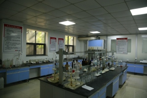 Lab