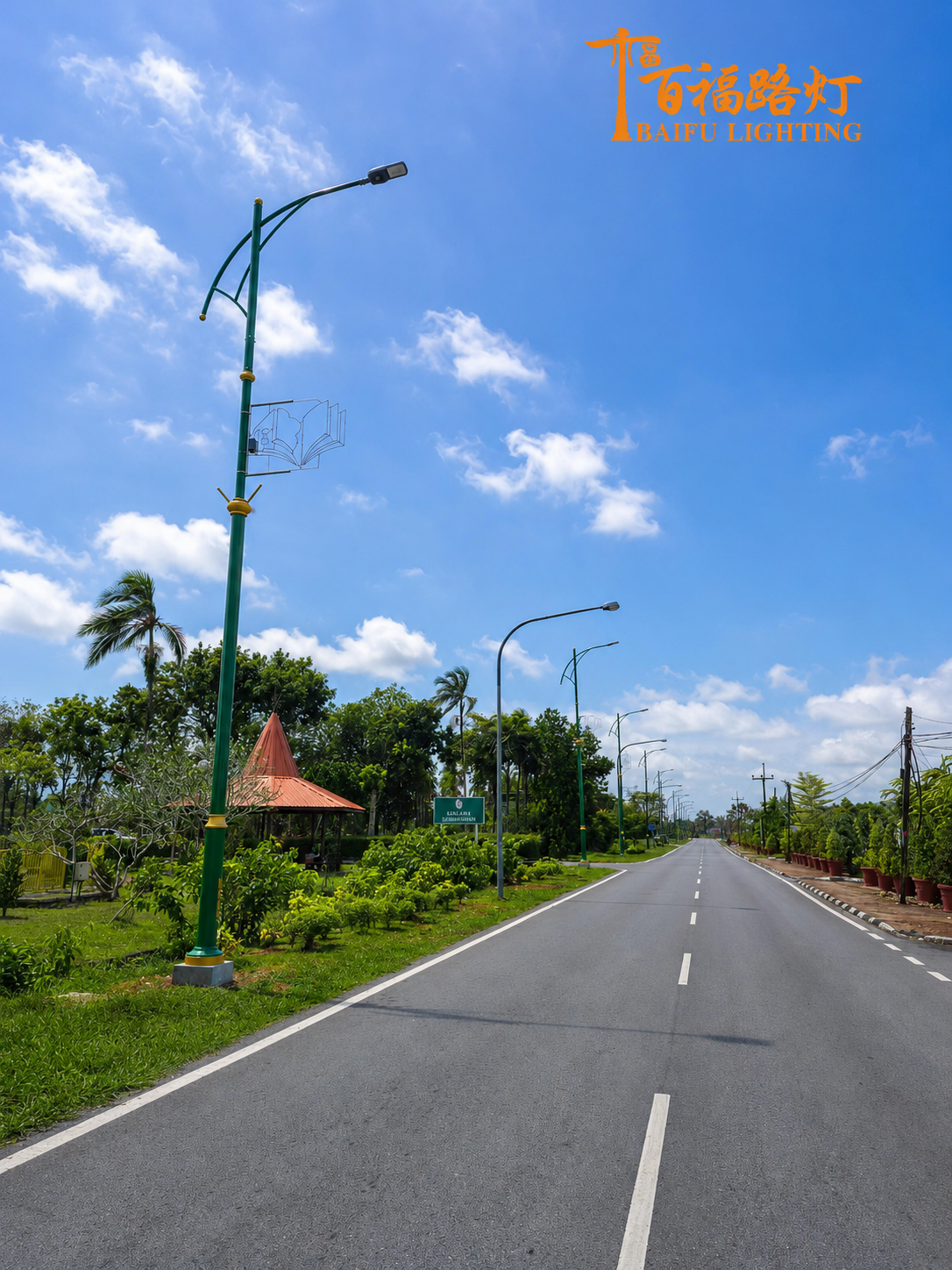 Custom landscape street lights installed along municipal roads in Malaysia