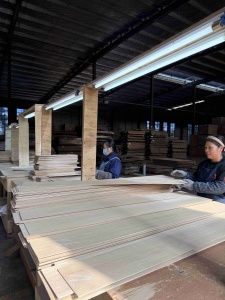 select veneer