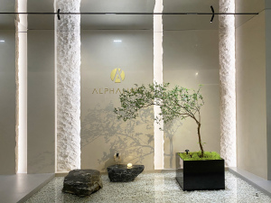 ALPHALUCE