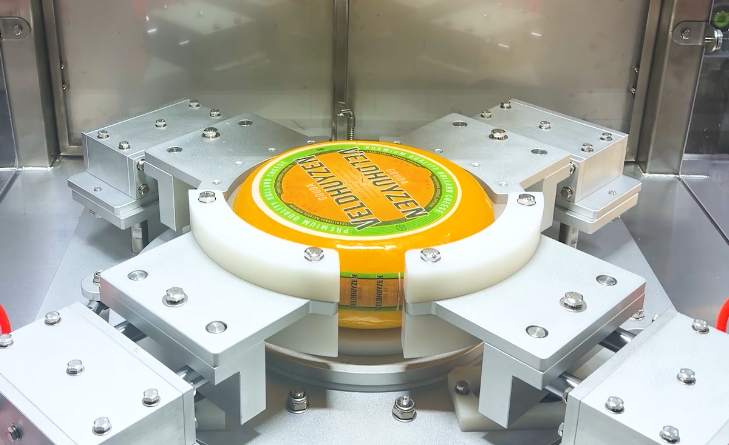Wheel cheese cutter in operation