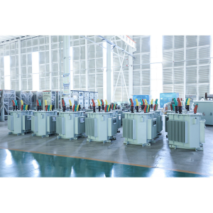 Oil Immersed Transformer