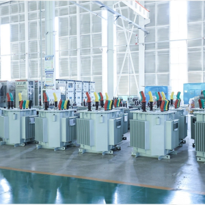 Oil Immersed Transformer