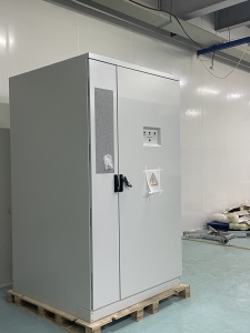 Energy Storage System developer (or manufacturer)