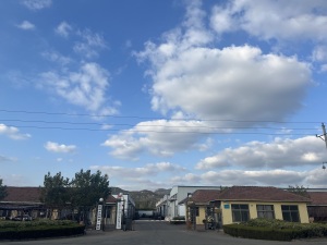 rizhao fenghua factory 