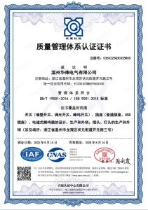 ISO 9001