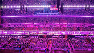 Concert Organizer / Stage Production Company