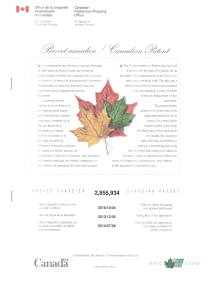 Canadian Patent - Flexible LED Display Technology