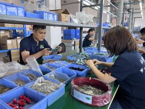 Factory assembly line