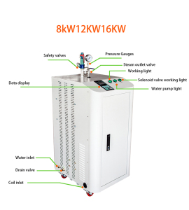 Induction Steam Generator