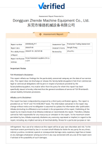 TÜV Rheinland Factory Audit Report