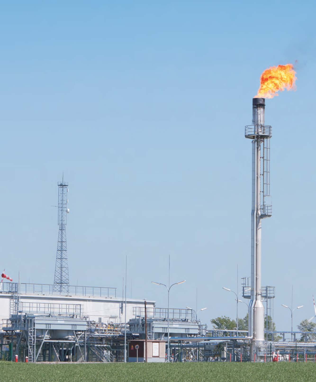 Self-Supported Elevated Flare - Zexuan