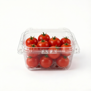 Fruit & Vegetable Container