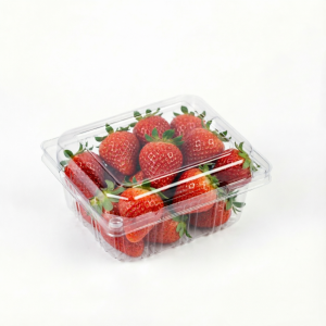 Fruit & Vegetable Container