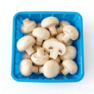 Trays Packaging