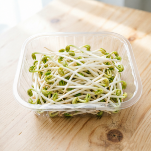 Trays Packaging