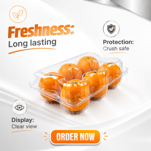 Fruit & Vegetable Container
