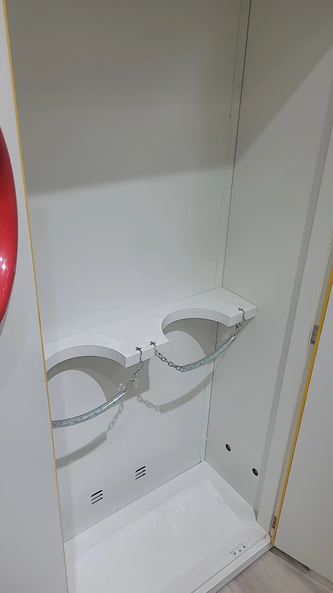 Interior view of double gas cylinder safety cabinet with purging system