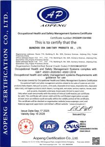 ISO45001