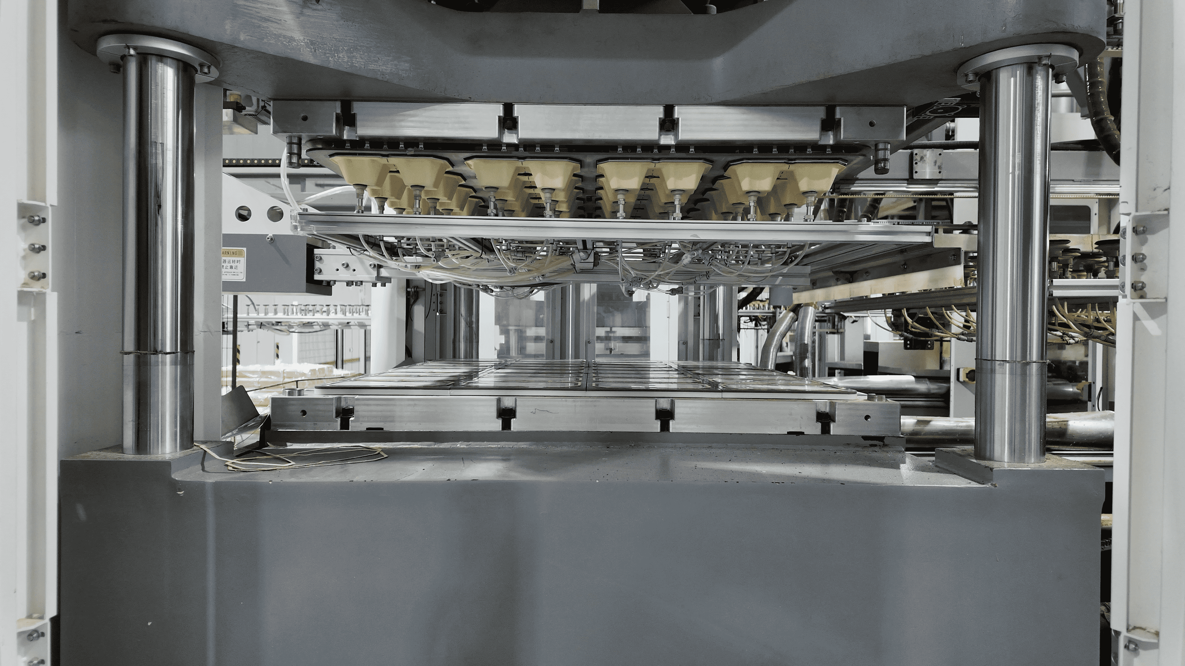 Molded fiber production workshop operating an integrated pulp molding line with forming and finishing stations