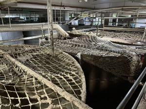 Pulping Area