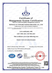 Management System Certification
