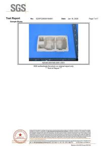 SGS Test report