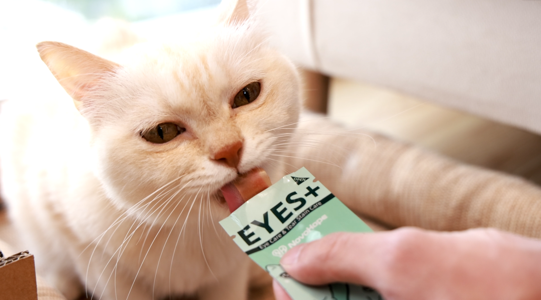 Pet health supplement scenario guide for matching oral dissolvable film models to eye, gut, heart and weight goals
