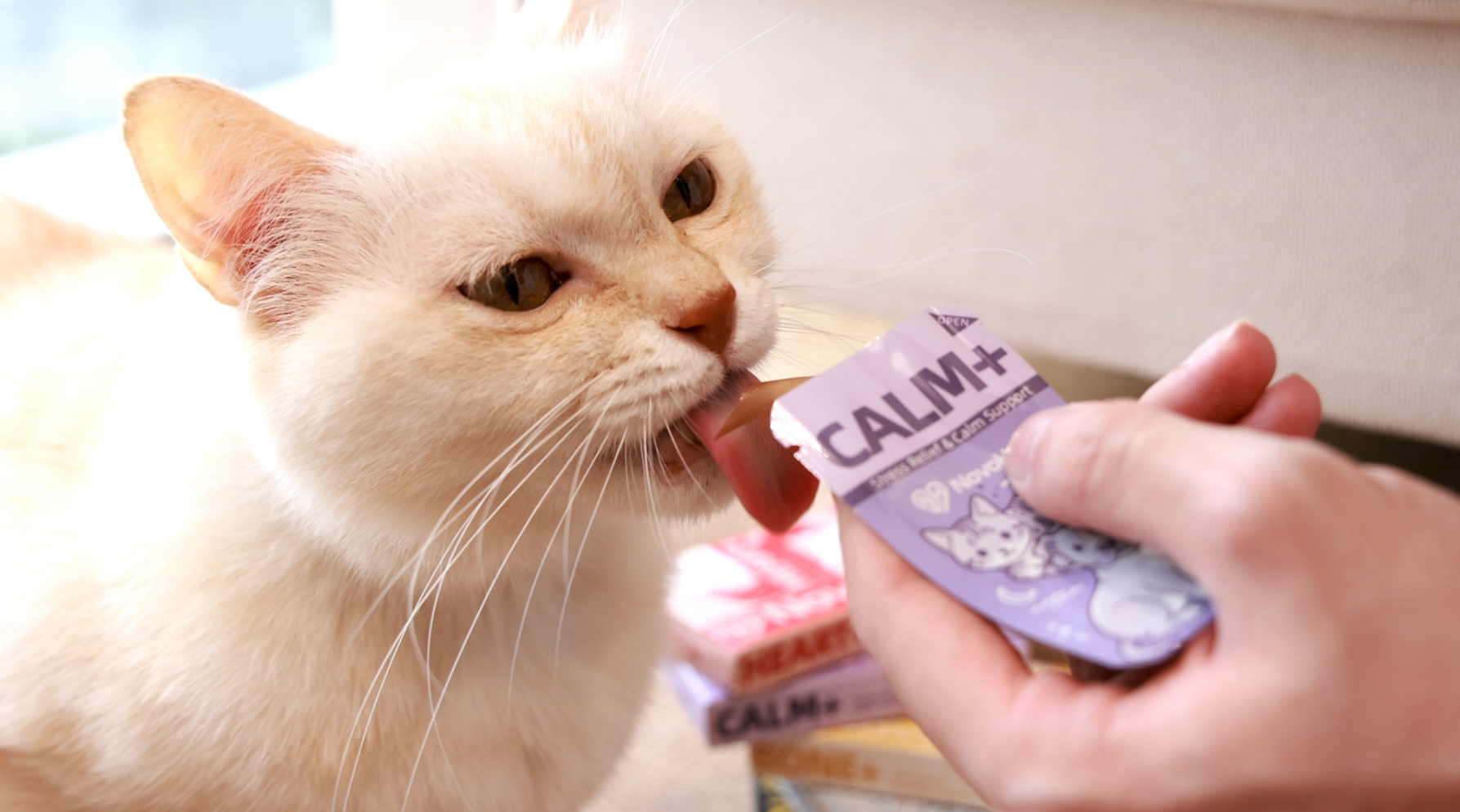 Novohope CALM+ pet calming oral disintegrating tablet available for sample requests