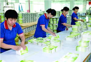 Manual Packaging Workshop