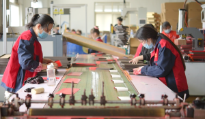 Rigid-Box-Workshop