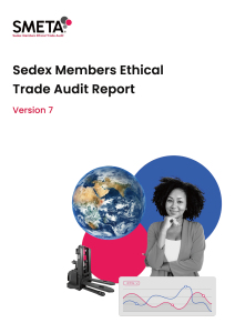 SMETA Ethical Trade Audit Report