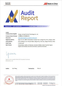 SGS Factory Audit Report