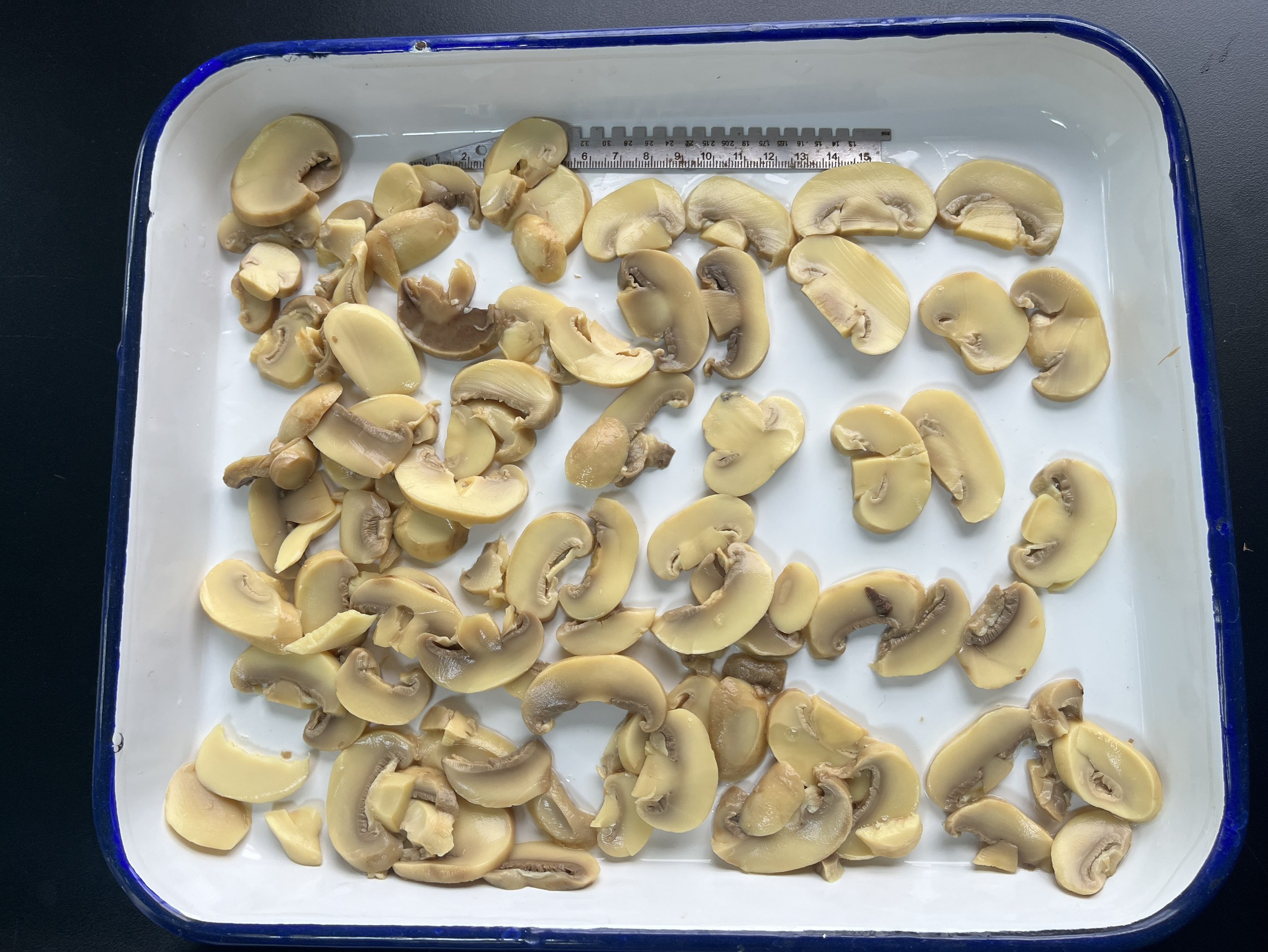 P&S mushroom
