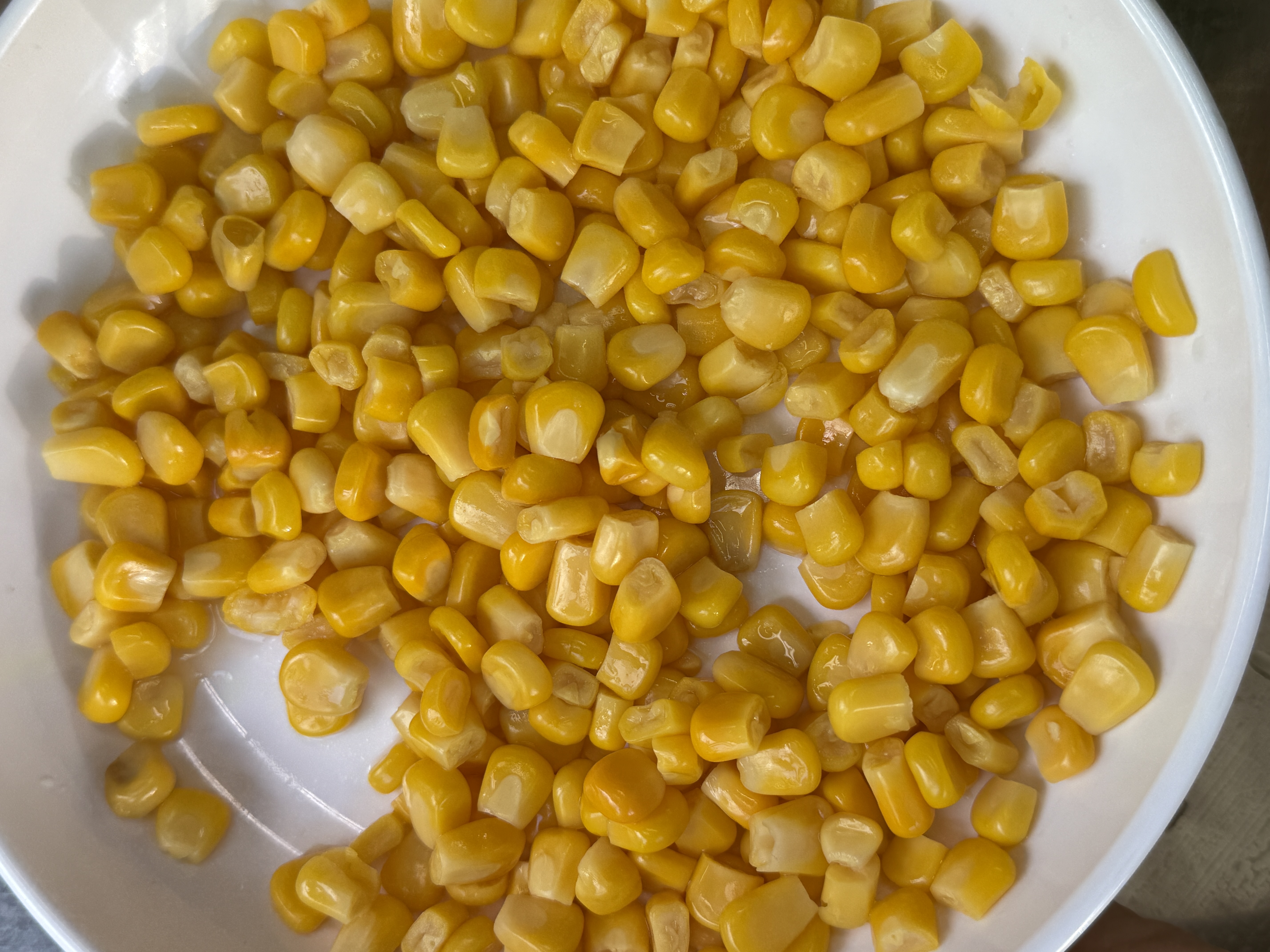 Canned sweet corn from the Agrogentra vegetable range