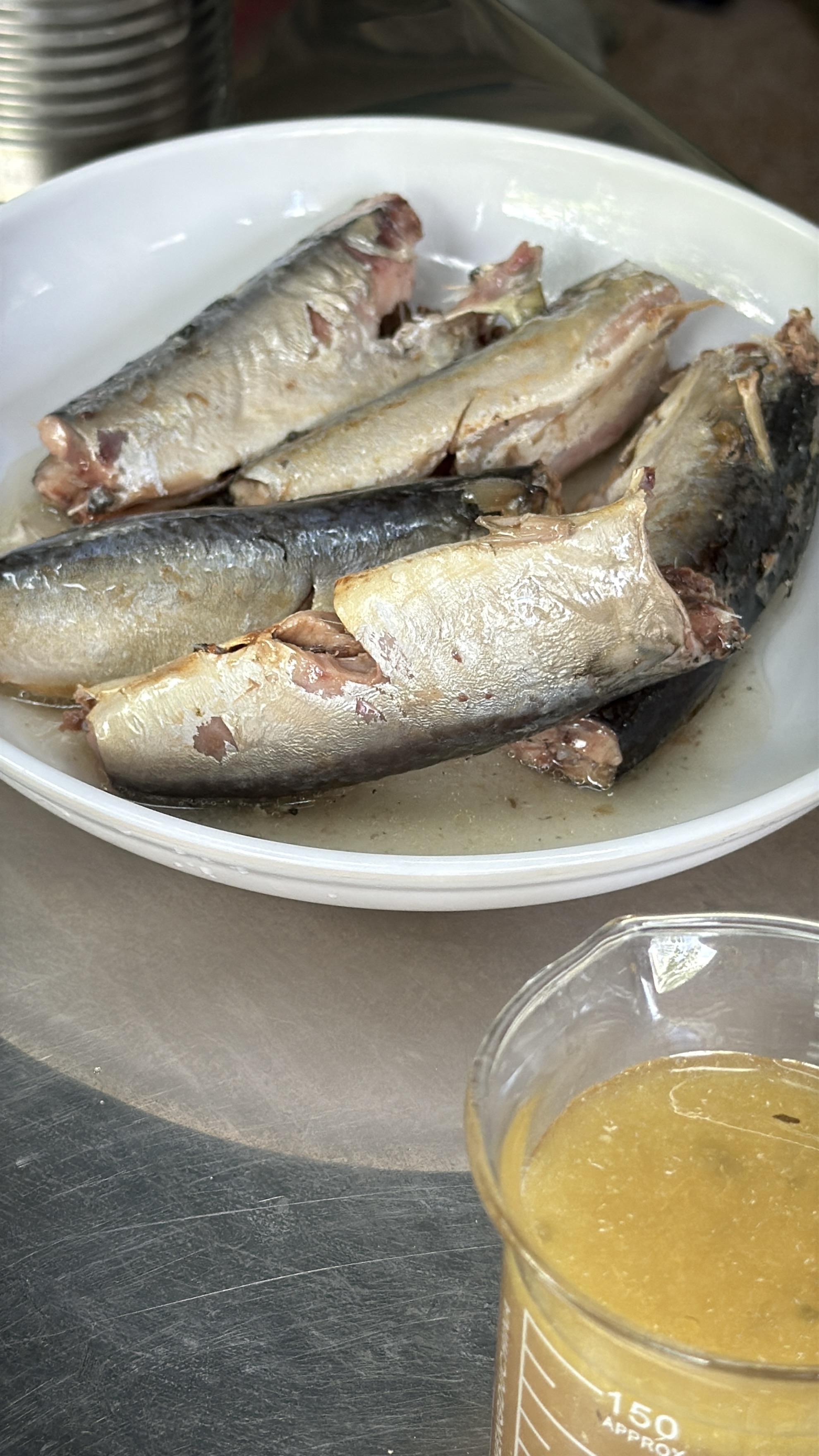 Saltwater mackerel