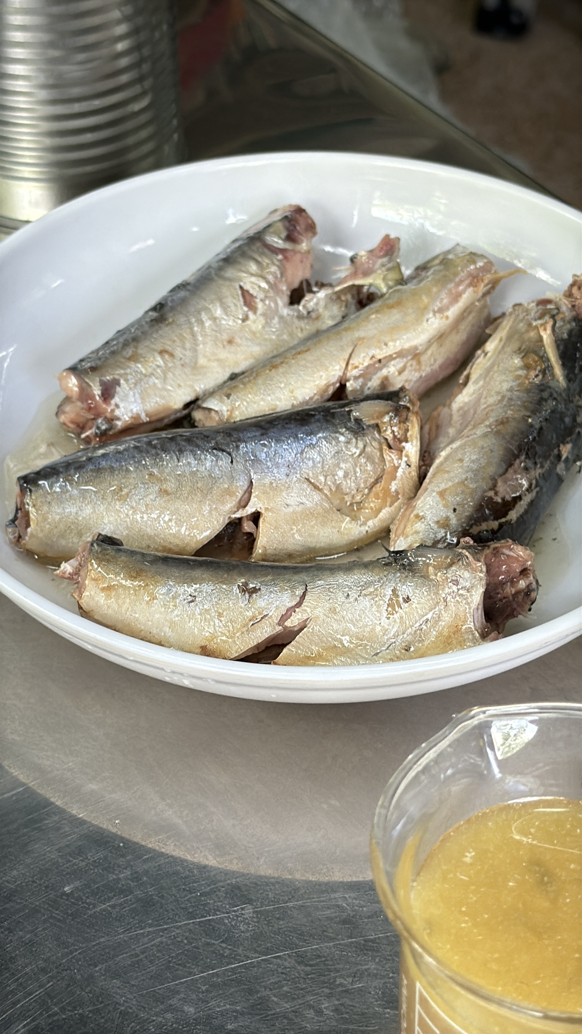 Saltwater mackerel