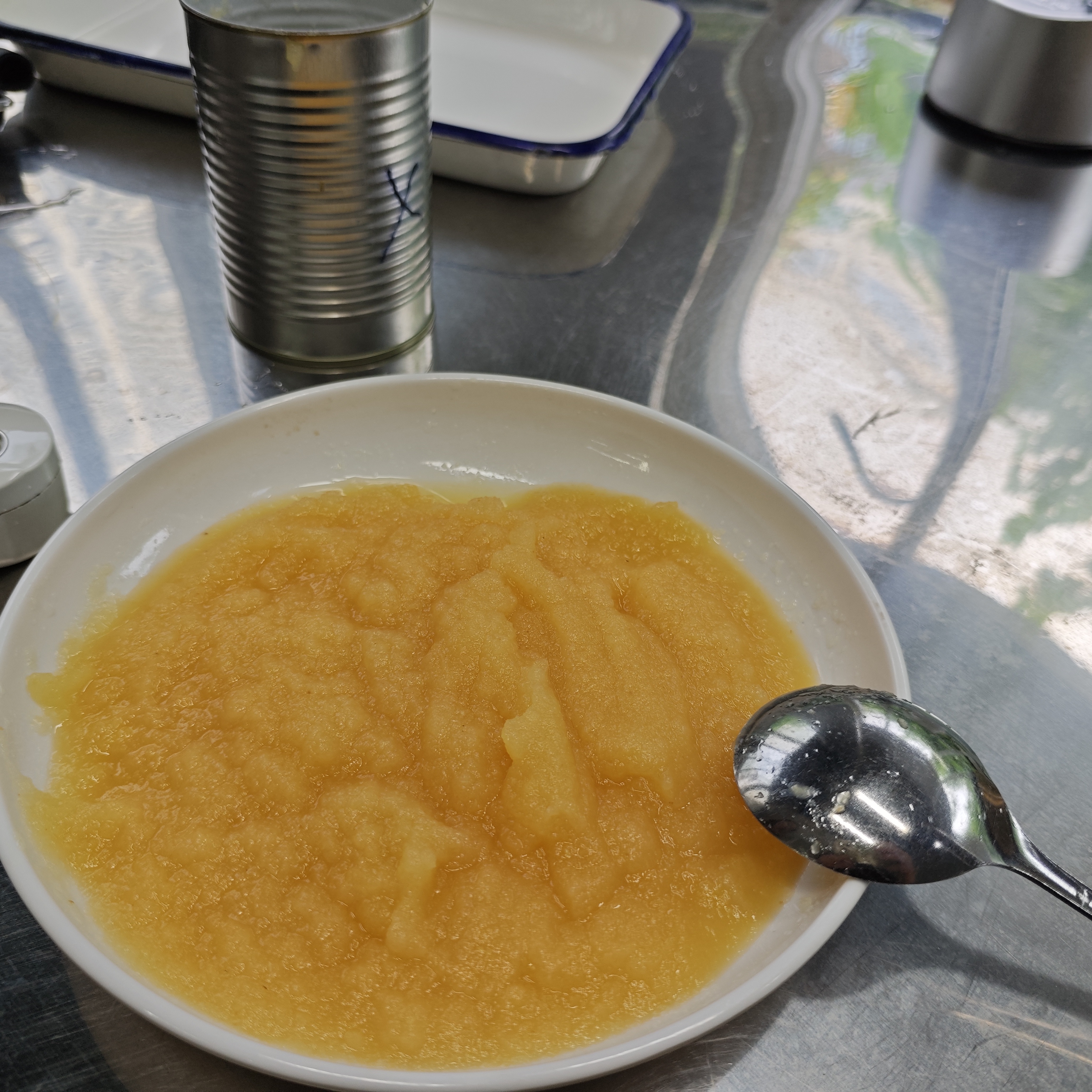 Canned applesauce packed for retail and foodservice use
