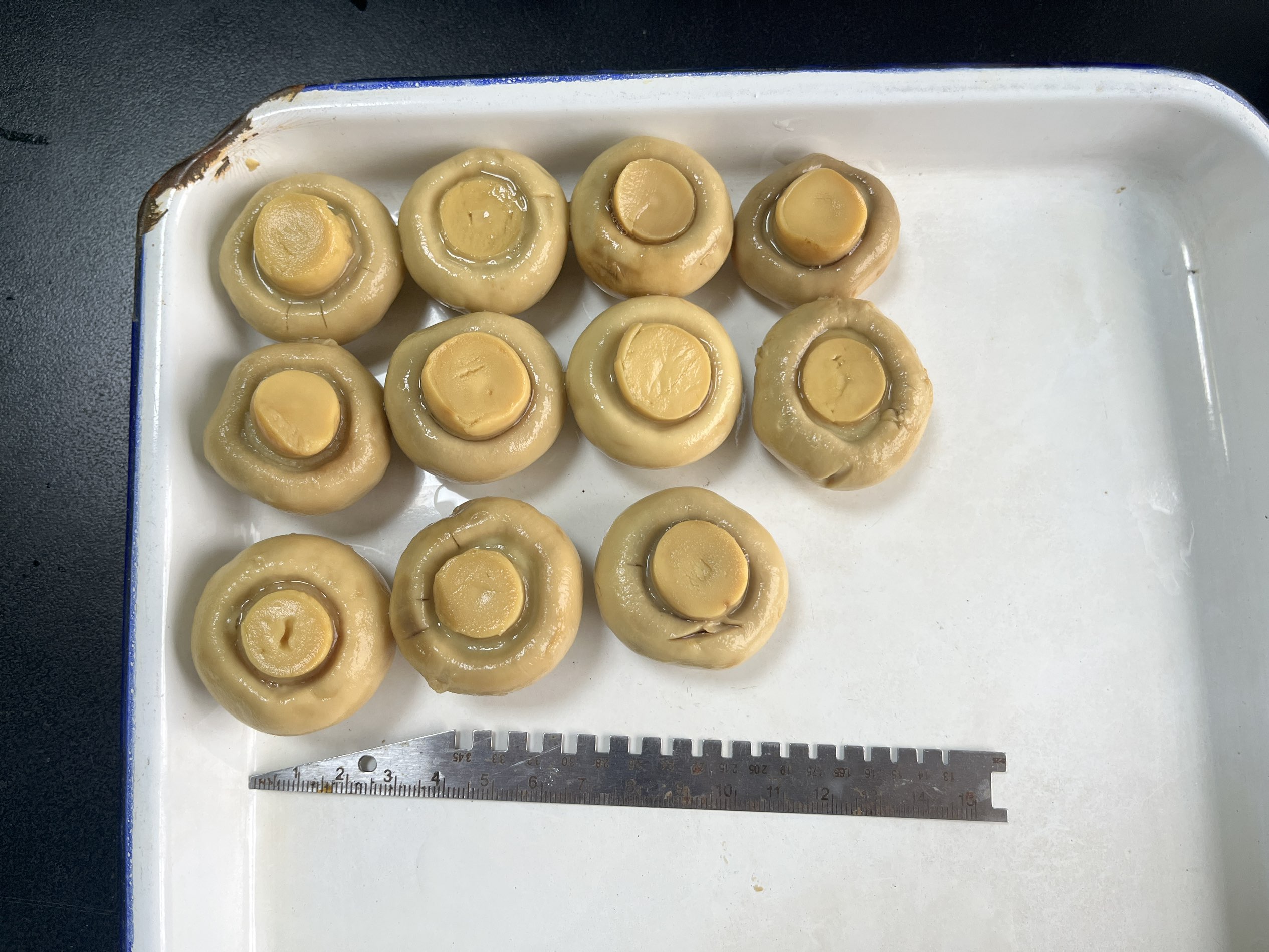 Canned whole mushrooms supplied by Agrogentra