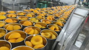 Canning_Line