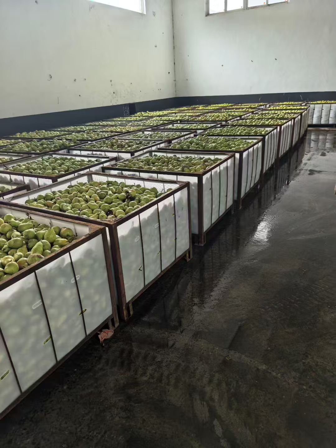 Raw material storage area holding fresh produce before canning and sterilization