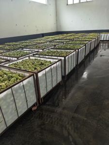 Raw_Material_Storage
