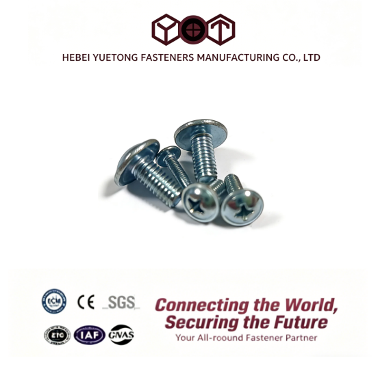 Cross Recessed Pan Head Machine Screw 5x40