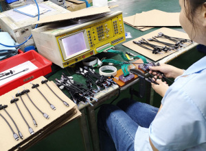 P-SHINE ELECTRONIC TECH LTD 